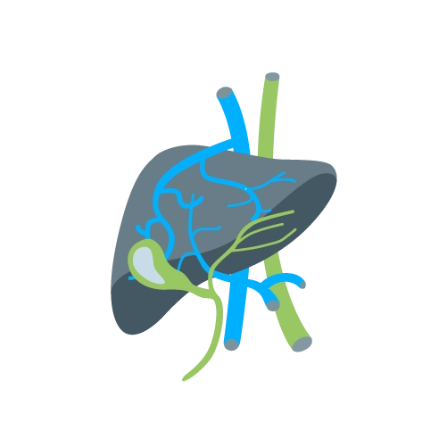 Metástasis Hepáticas